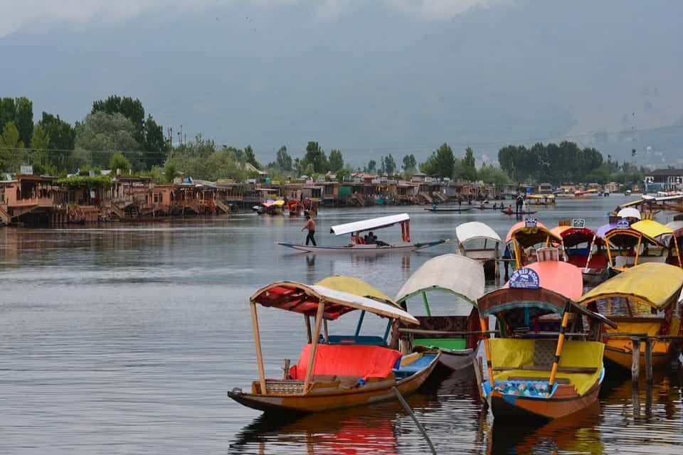 Srinagar boats