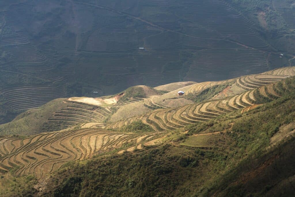 thailand terraces