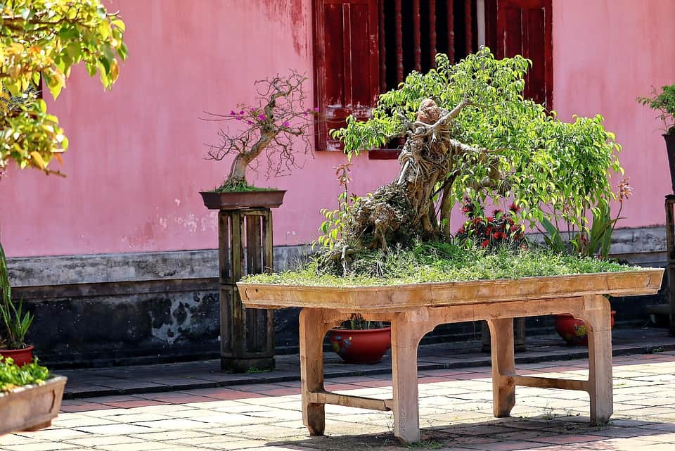 things to do in hoi an