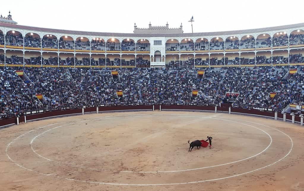 things to see in Spain bullfight