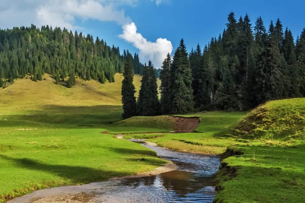 Romania meadows