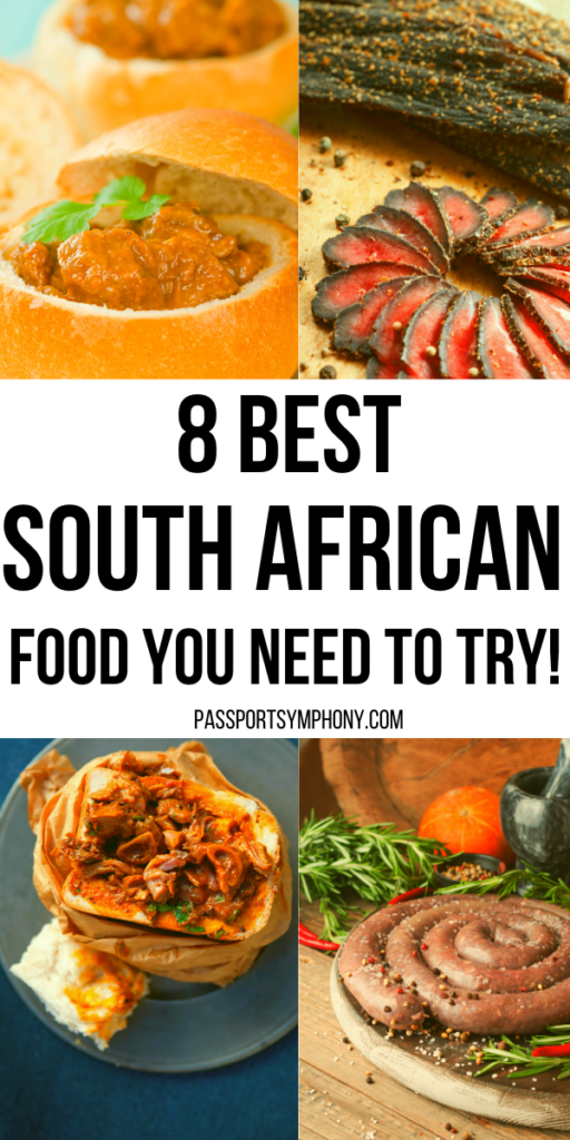 8 best south African food you need to try 