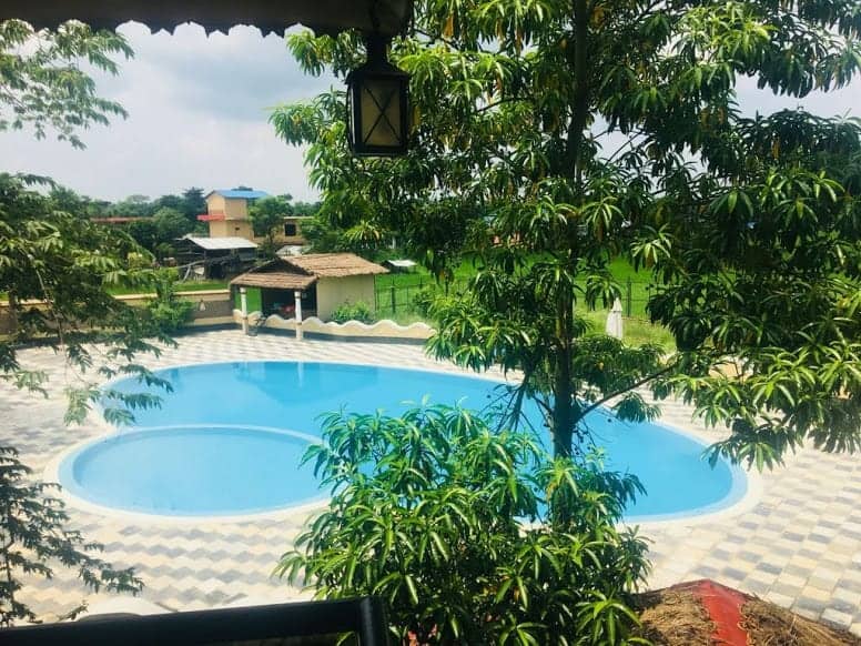 resort pool chitwan