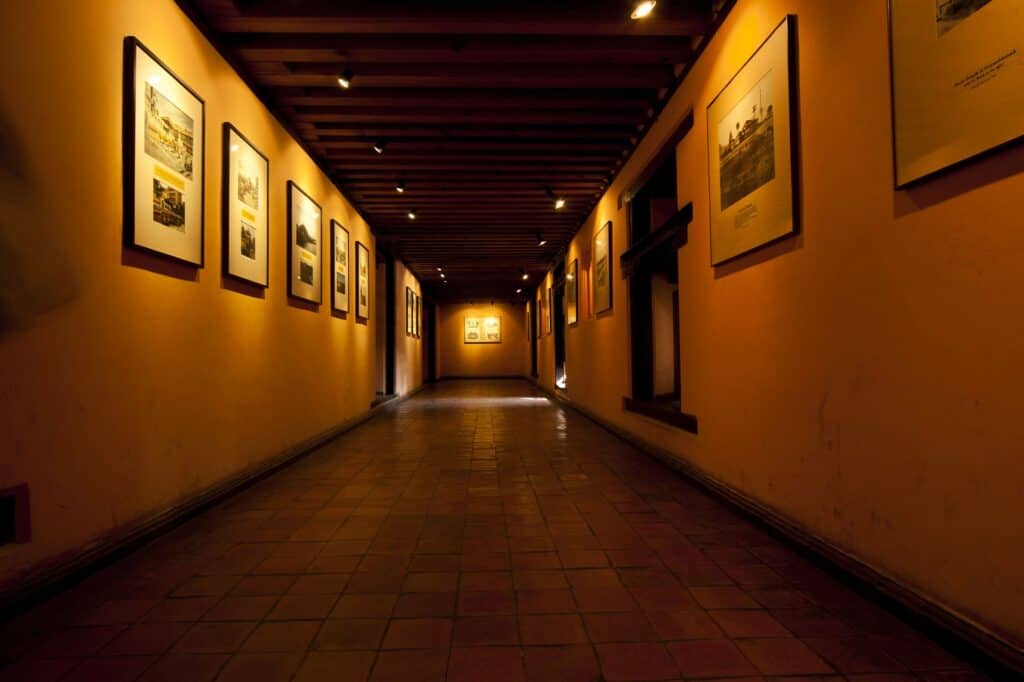 sochi art museum