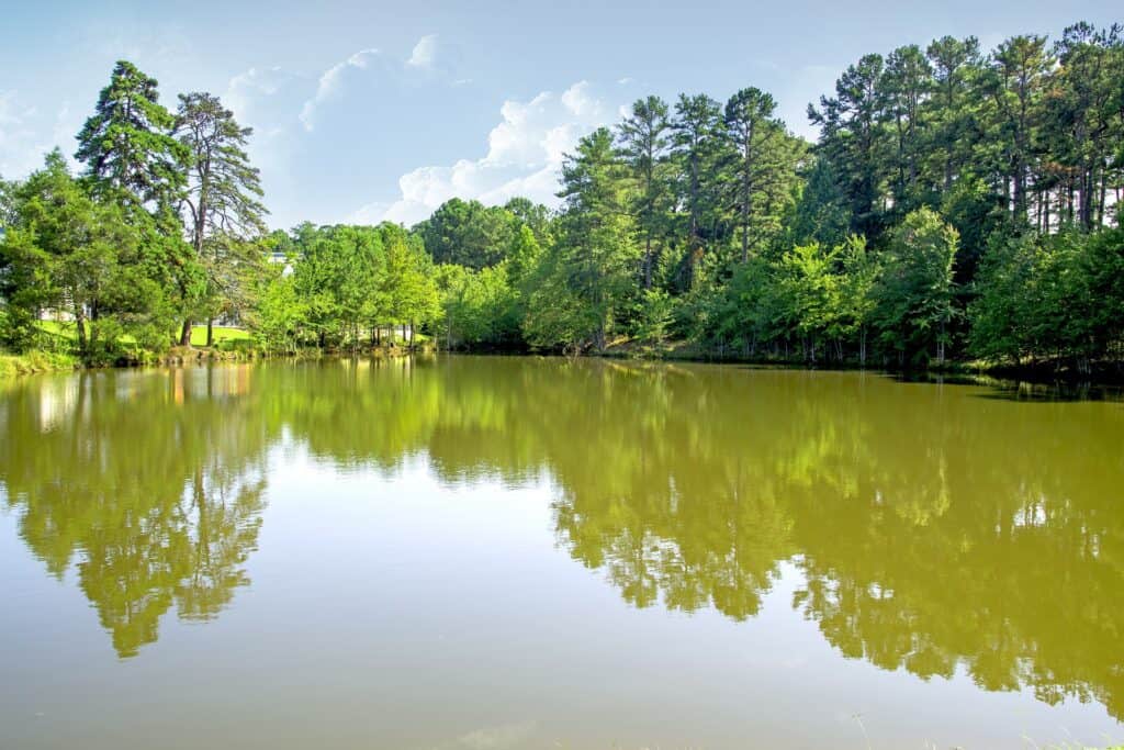 lake claire atlanta
