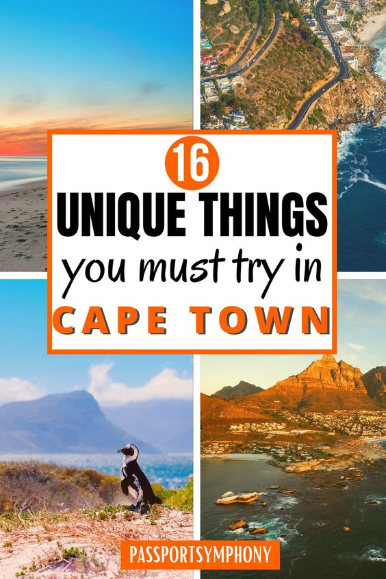 unique things to do in cape town