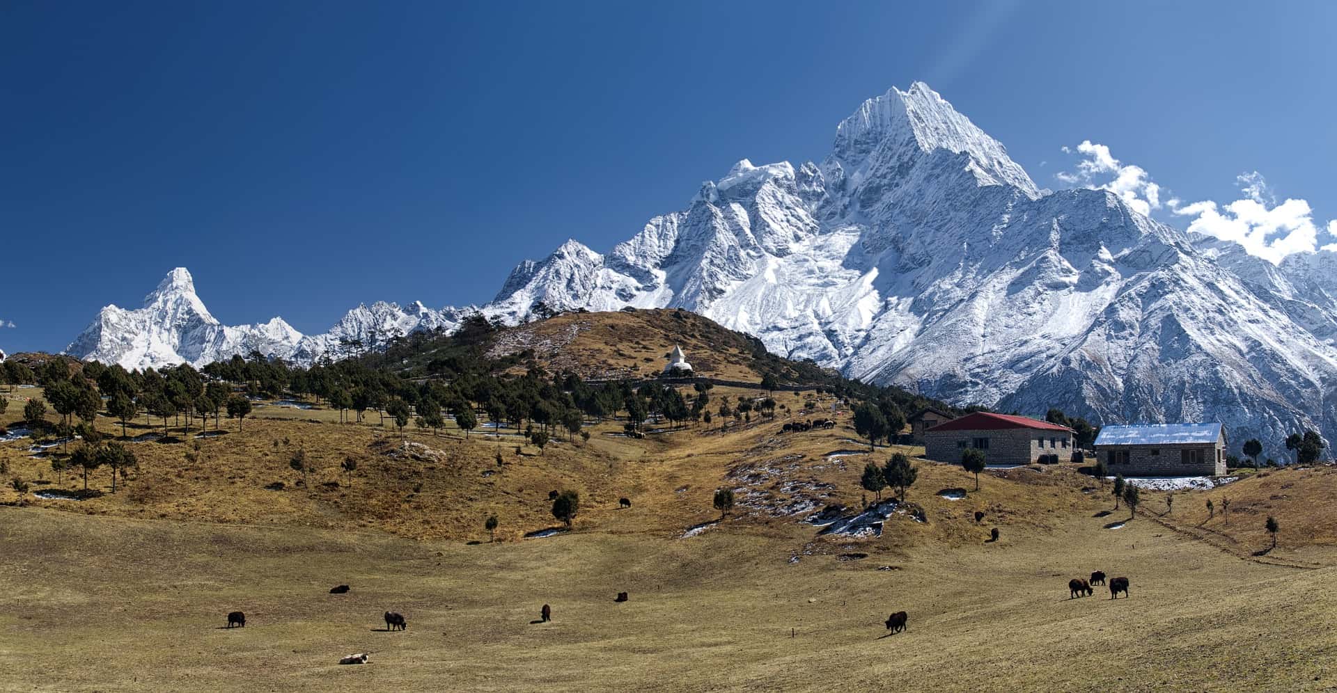 The Ultimate Guide To Trekking Tsum Valley In Nepal