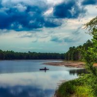 new jersey nature
