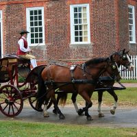 things to do in williamsburg VA