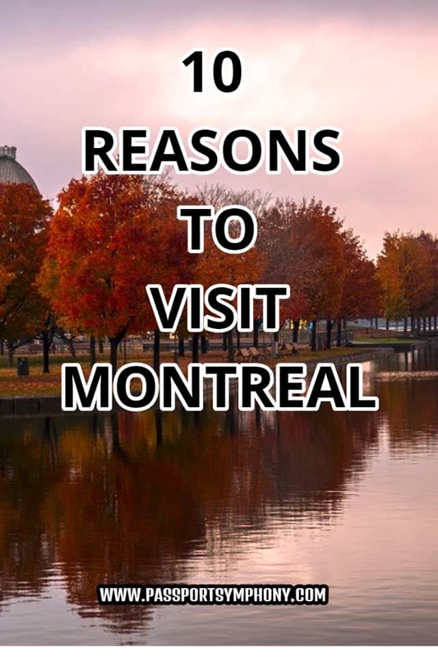 reasons to visit montreal