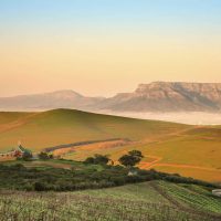 why visit south africa