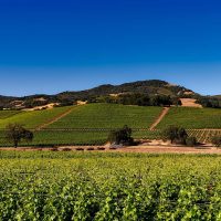 napa valley