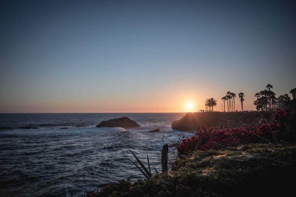 Hidden gems and unusual things to do in Orange County that you won’t find in most tourist guides 4 tresure island