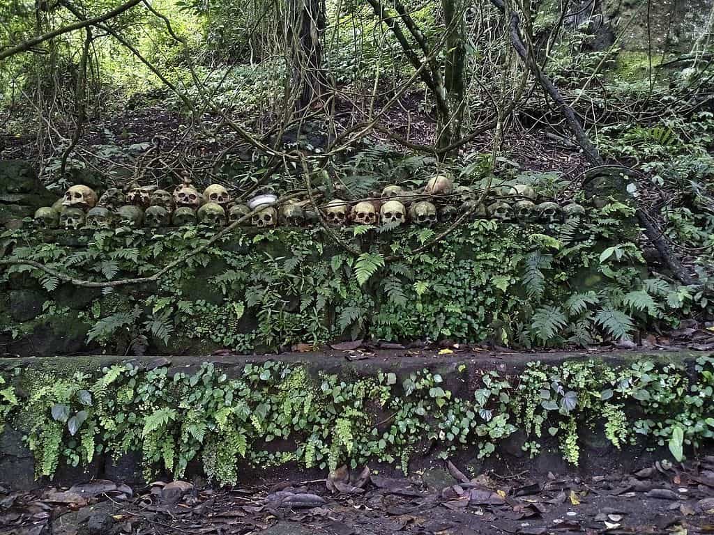83 Exciting Things You Can Add To Your Bali Bucket List 19 Trunyan Cemetery