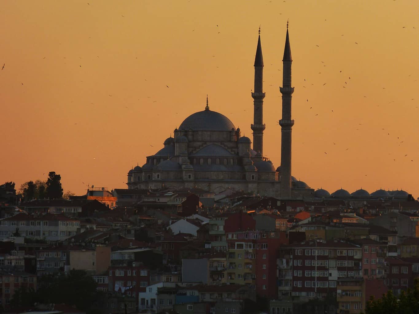 Which Are The 16 Largest Mosques In The World?