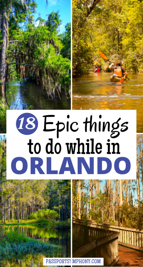 18 best things to do while in ORLANDO