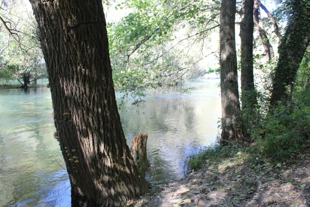 treska river picnic spot