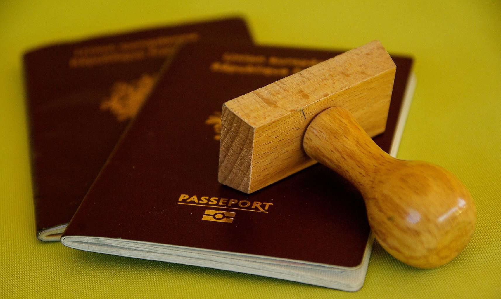 What is a Passport/Travel Document Number?