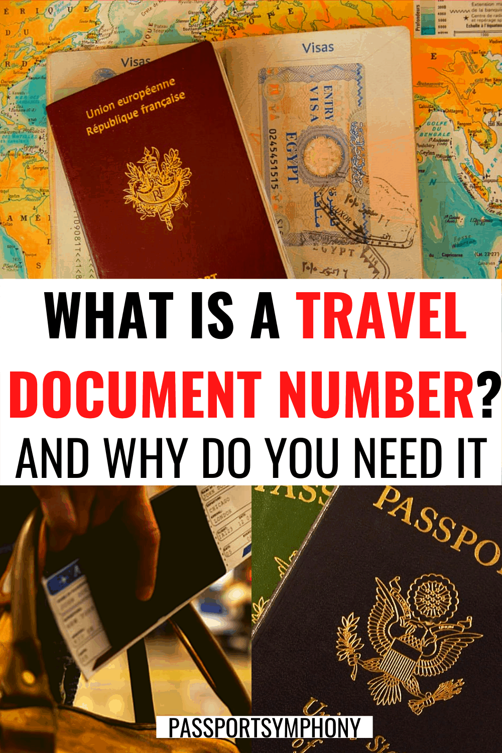 what does a travel document number look like