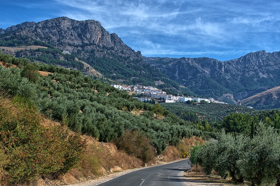 andalusia road