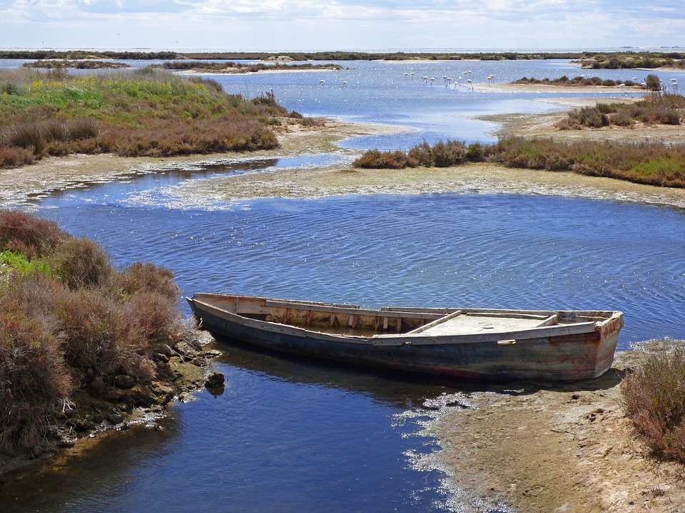 Spain East Coast Itinerary- The Complete Travel Guide 12 ebro delta Spain east coast itinerary