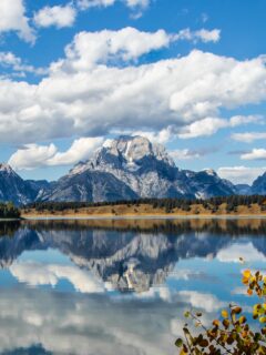 jackson hole Cheap Honeymoon Destinations in the US