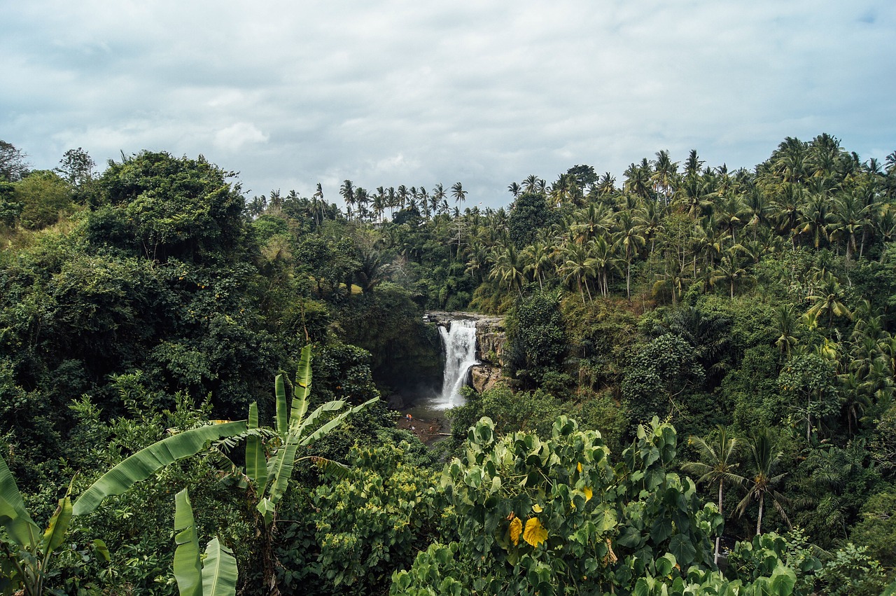 el salto waterfalls in panama