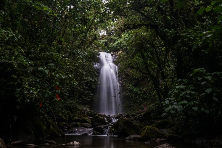 the lost waterfalls in panama
