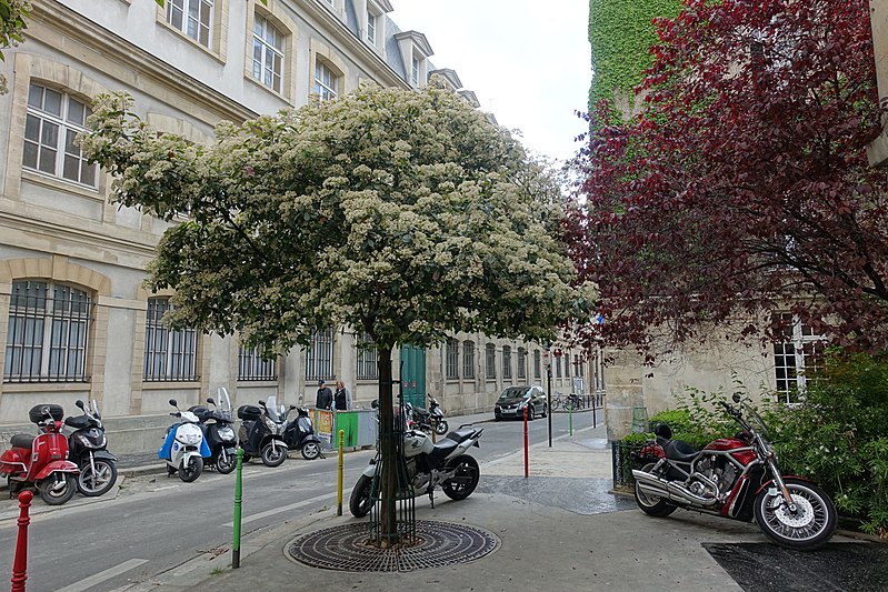 18 Non-Touristy Things To Do In Paris For A Different Experience 7 le marais non-touristy things to do in paris