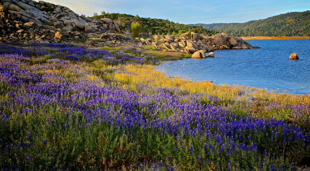 In Lakes Largest Natural Lake In California