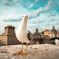 historical sites in italy