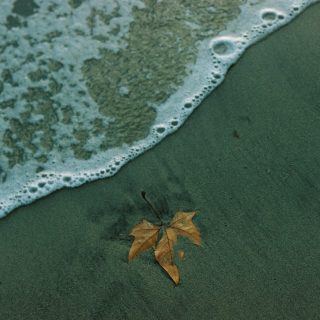 nearest beaches to rome