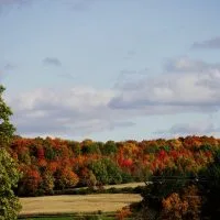 best farms in uptown new york