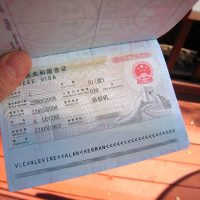 handlevisa review